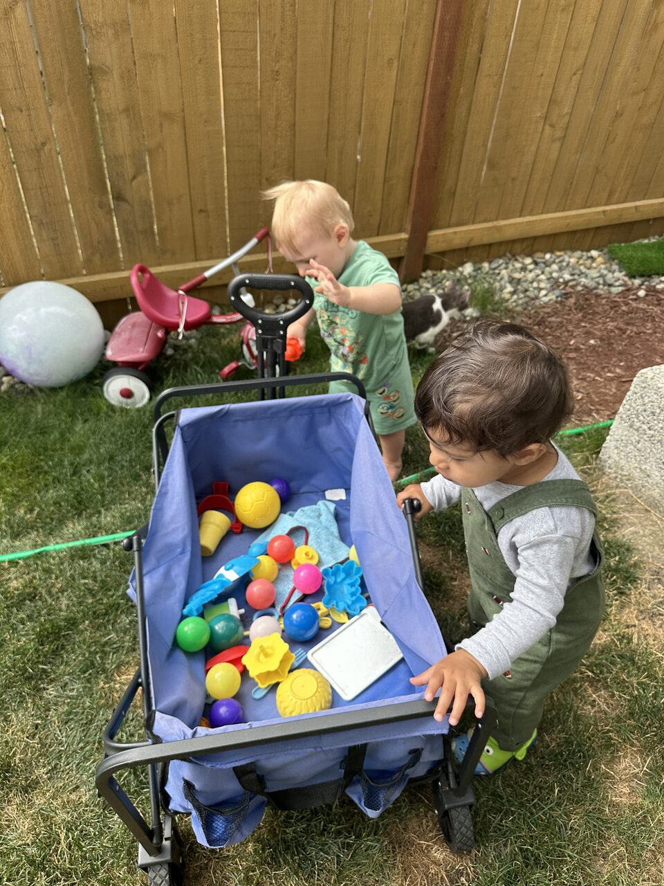Dos niños pequeños jugando afuera en el césped junto a una cerca de madera, con un carrito lleno de juguetes de colores y un triciclo rojo